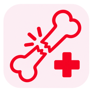 Trauma & Road Accidents
